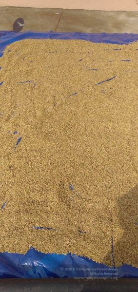 File:20211206 WhatsApp Image 2021-12-13 at 10.58.25 AM 11.jpg