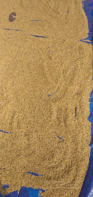 20211206 WhatsApp Image 2021-12-13 at 10.58.26 AM 11.jpg