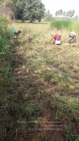 20211206 WhatsApp Image 2021-12-26 at 9.55.59 AM 11.jpg