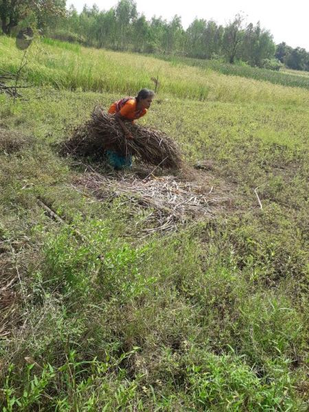 File:20211211 kacharapattu 1.05.04 PM 11.jpg