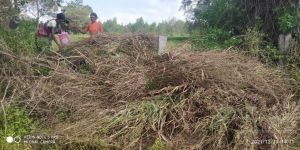 20211211 kacharapattu 2.28.22 PM 11.jpg