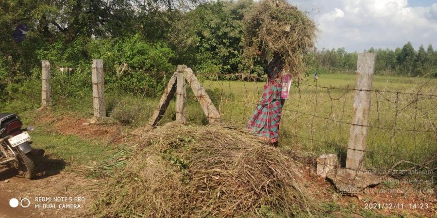 20211211 kacharapattu 2.28.23 PM 11.jpg