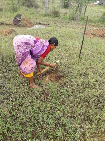 20211211 kacharapattu 5.55.55 PM (1) 11.jpg