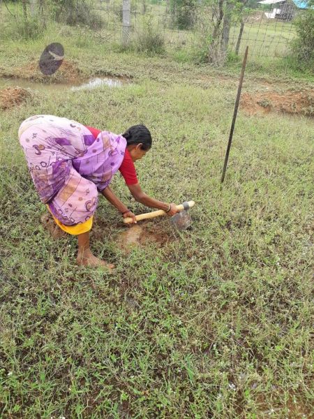 File:20211211 kacharapattu 5.55.55 PM 11.jpg