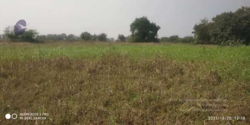 File:20211220 kacharapattu 1.39.15 PM (1) 11.jpg