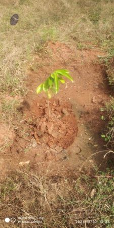 20211220 kacharapattu 1.39.22 PM 11.jpg