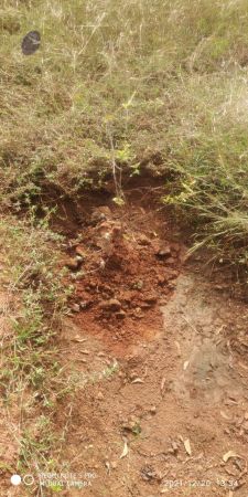 20211220 kacharapattu 1.39.23 PM 11.jpg