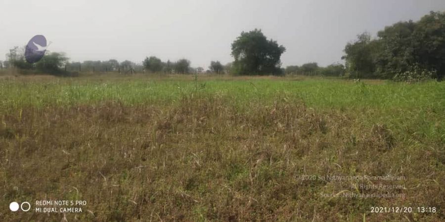 20211220 kacharapattu 1.39.24 PM (1) 11.jpg