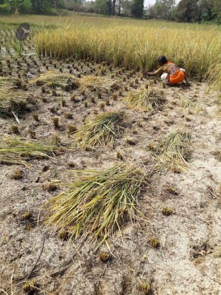 File:20211223 3.42.51 PM (1) 11.jpg