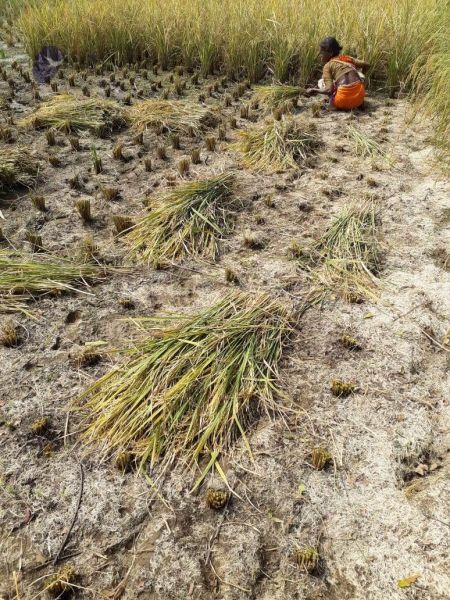 File:20211223 3.42.51 PM (2) 11.jpg