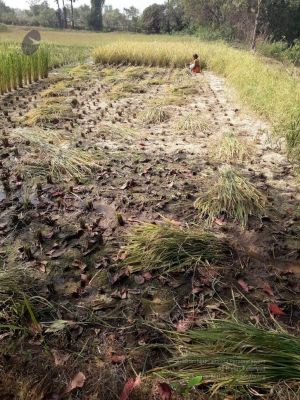 20211223 3.42.51 PM 11.jpg