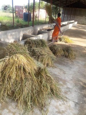 20211223 3.42.52 PM (1) 11.jpg