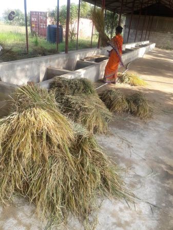 20211223 3.42.52 PM (1) 11.jpg