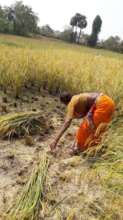 20211223 3.42.52 PM 11.jpg