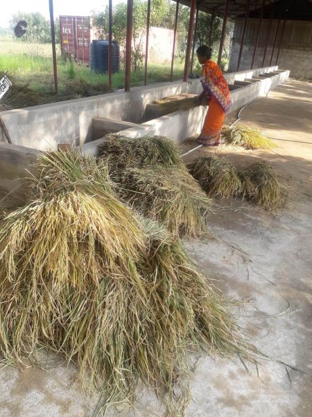 File:20211223 3.42.53 PM (1) 11.jpg