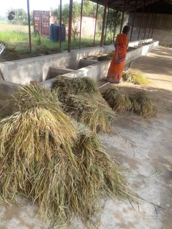 20211223 3.42.53 PM 11.jpg