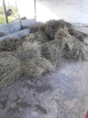 20211223 3.42.54 PM 11.jpg