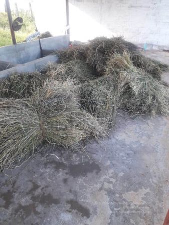 20211223 3.42.54 PM 11.jpg