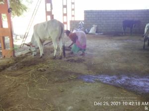 20211225 TimePhoto 20211225 104218 11.jpg