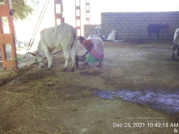 20211225 TimePhoto 20211225 104218 11.jpg