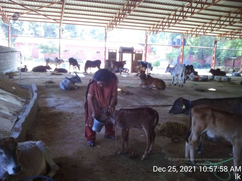 File:20211225 TimePhoto 20211225 105759 11.jpg