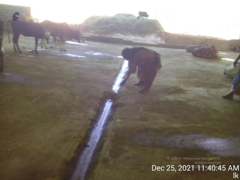 File:20211225 TimePhoto 20211225 114045 11.jpg