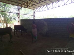 20211225 TimePhoto 20211225 114830 11.jpg