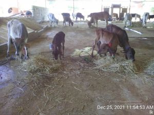 20211225 TimePhoto 20211225 115453 11.jpg