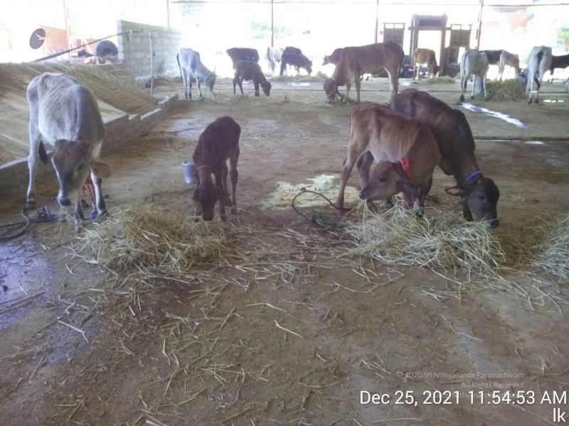 File:20211225 TimePhoto 20211225 115453 11.jpg