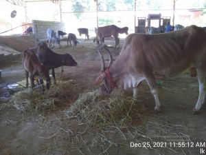 20211225 TimePhoto 20211225 115512 11.jpg