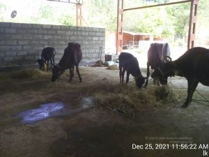 20211225 TimePhoto 20211225 115622 11.jpg