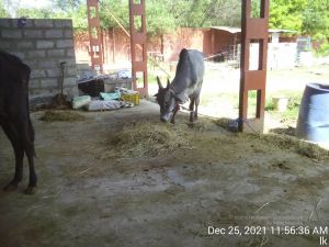 20211225 TimePhoto 20211225 115636 11.jpg