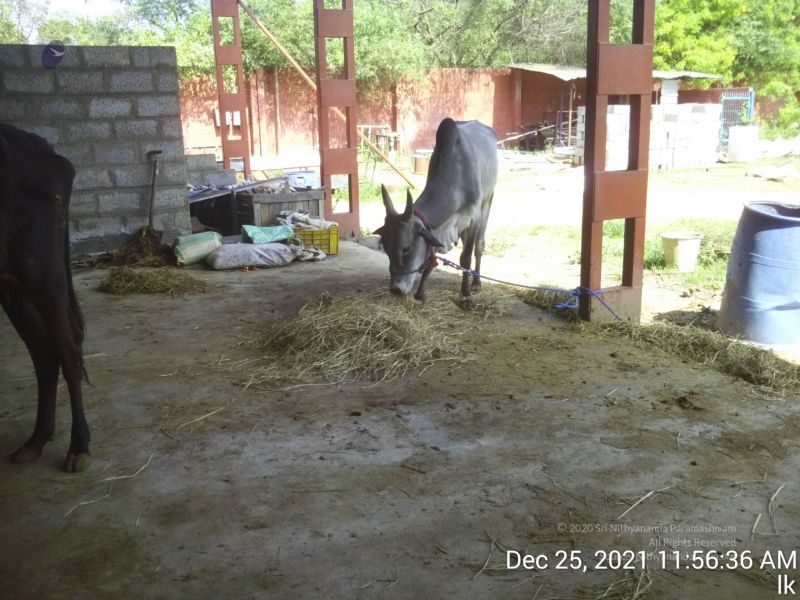 File:20211225 TimePhoto 20211225 115636 11.jpg