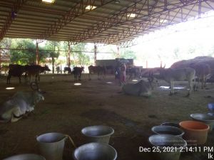 20211225 TimePhoto 20211225 141412 11.jpg