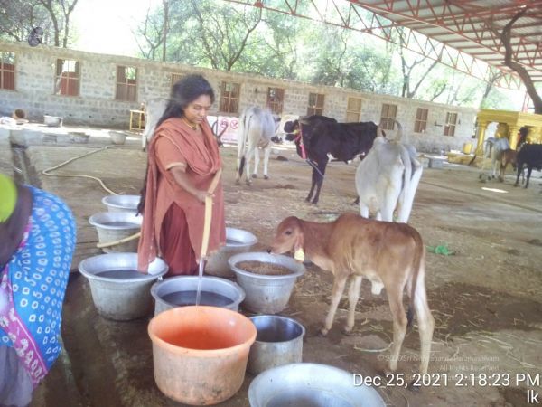 20211225 TimePhoto 20211225 141823 11.jpg