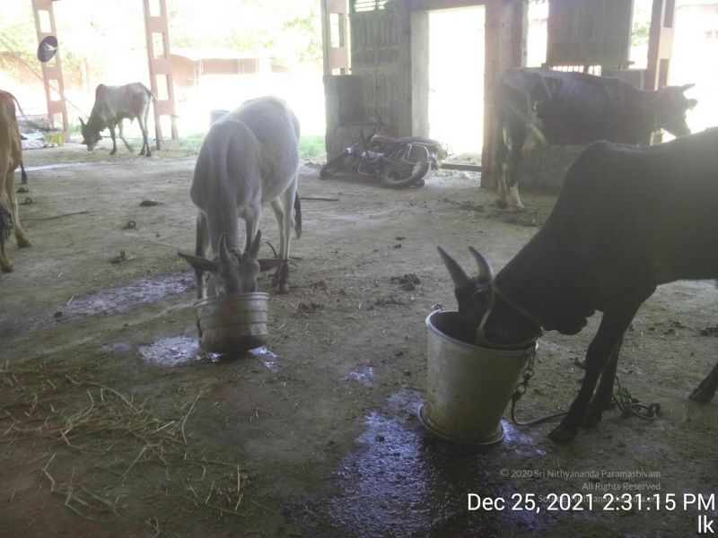 File:20211225 TimePhoto 20211225 143115 11.jpg