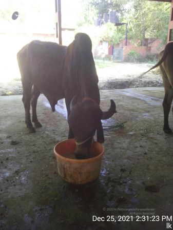 20211225 TimePhoto 20211225 143123 11.jpg