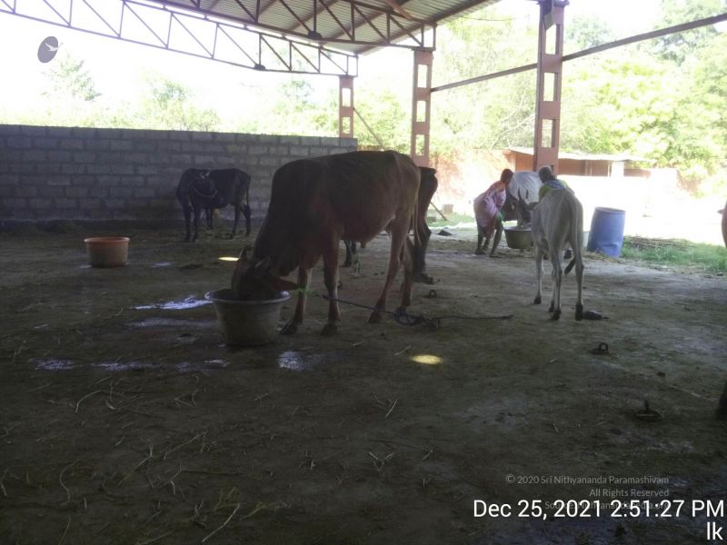 File:20211225 TimePhoto 20211225 145127 11.jpg