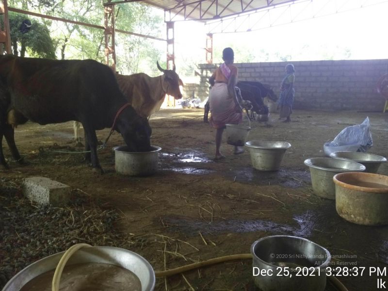 File:20211225 TimePhoto 20211225 152837 11.jpg