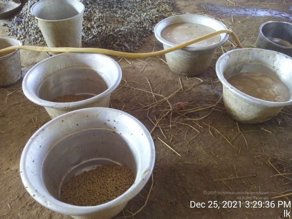 20211225 TimePhoto 20211225 152936 11.jpg