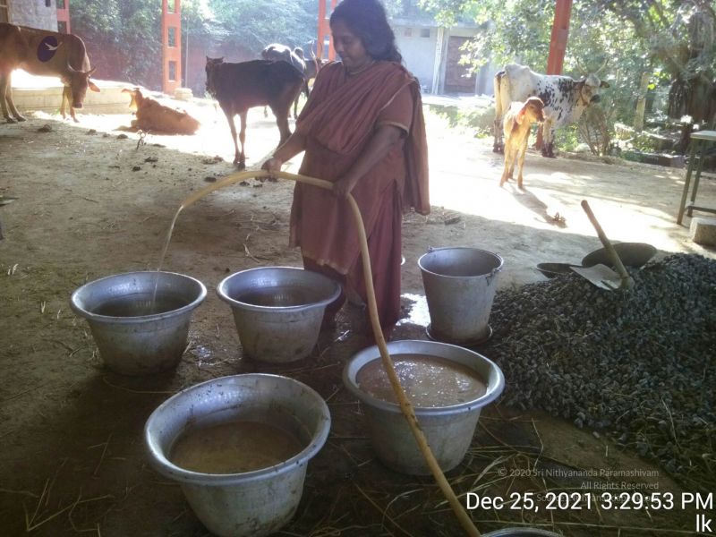 File:20211225 TimePhoto 20211225 152953 11.jpg