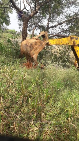 File:20211226 kacharapattu clearing 10.49.51 AM 11.jpg