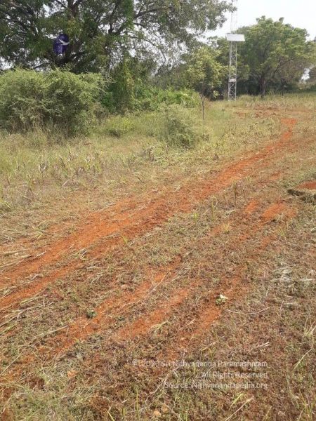 File:20211226 kacharapattu clearing 2.59.41 PM (1) 11 11.jpg