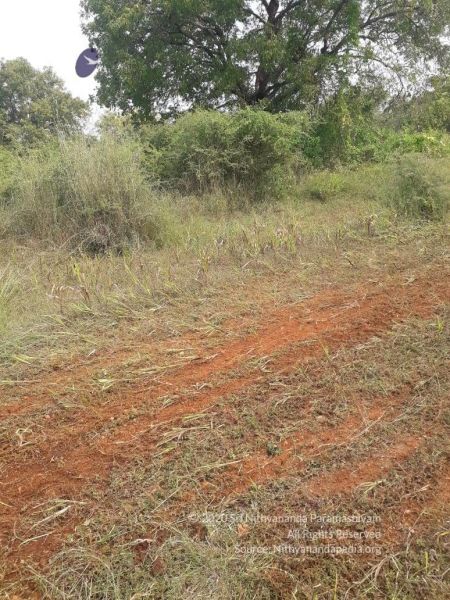 File:20211226 kacharapattu clearing 2.59.42 PM (1) 11 11.jpg