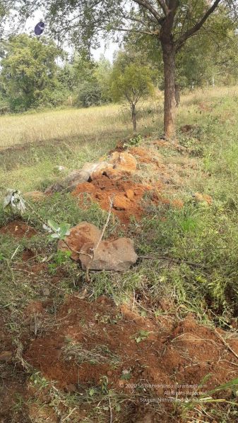 File:20211226 kacharapattu clearing 2.59.44 PM (1) 11 11.jpg