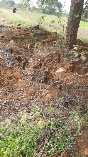 20211226 kacharapattu clearing 2.59.44 PM 11 11.jpg