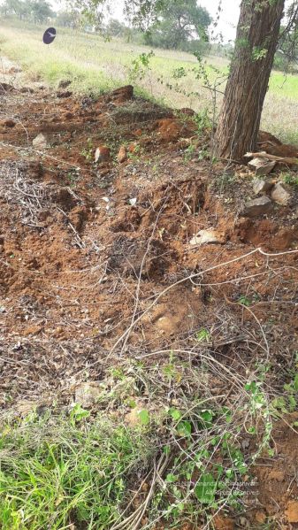 File:20211226 kacharapattu clearing 2.59.44 PM 11 11.jpg