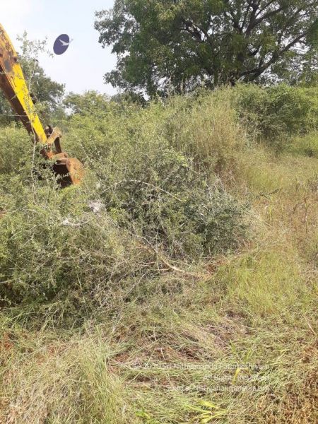 File:20211226 kacharapattu clearing 2.59.53 PM (1) 11 11.jpg