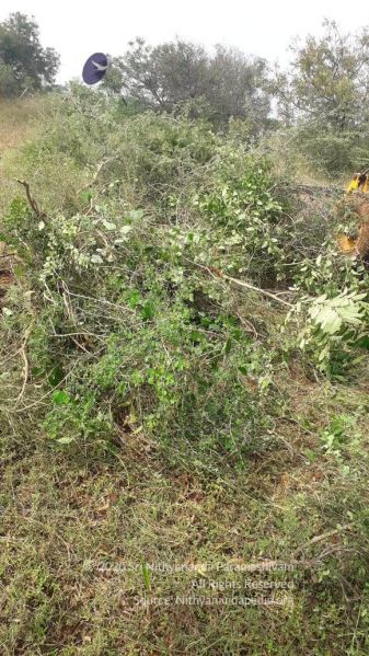 File:20211226 kacharapattu clearing 2.59.53 PM (2) 11 11.jpg