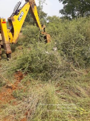 20211226 kacharapattu clearing 2.59.53 PM 11 11.jpg